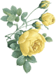 Floral accent