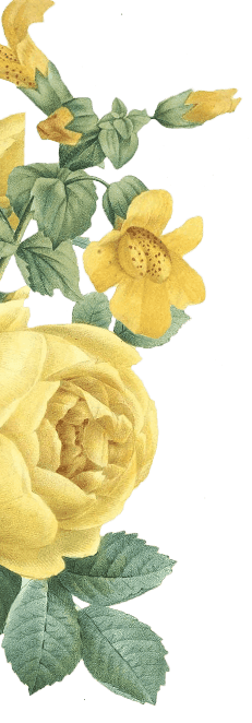 Sunflower decor