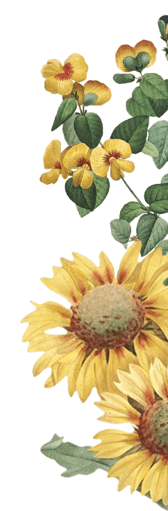 Sunflower decor